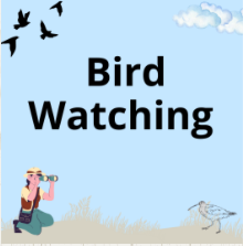 26 oct lepe bird
