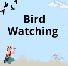 bird watch Lepe Nov 25