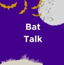 Lepe Bat Walk