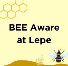 Lepe Bee Event