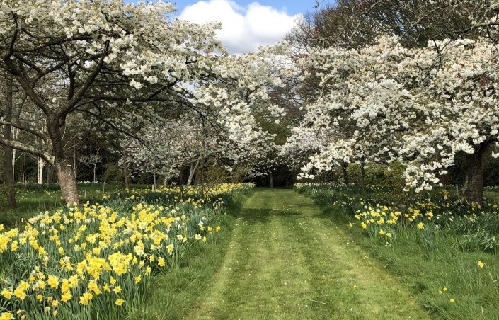 Lepe House Gardens