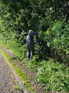 Lepe Road Verge and Hedge Clearing May 2024
