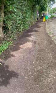 Lepe Road and St Francis Clearing June 2024