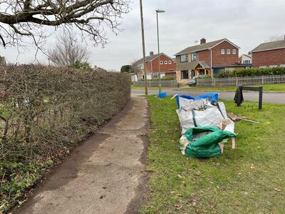 St Francis Verge Clearing  130225