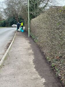 St Francis Verge Clearing  130225