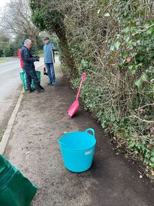 St Francis Verge Clearing  130225