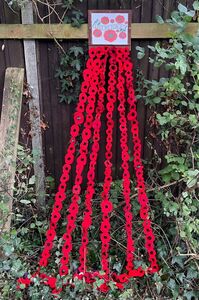 Langley Hub Poppies November 2025
