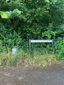 Verge clearing West Common 6 June 25