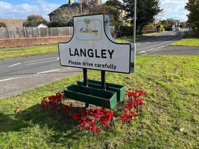 Remembrance Poppies October 2025