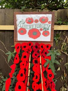 Remembrance Poppies October 2025