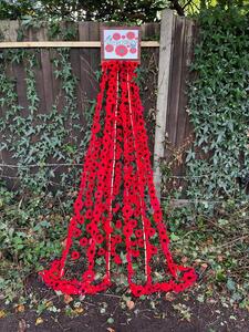 Remembrance Poppies October 2025
