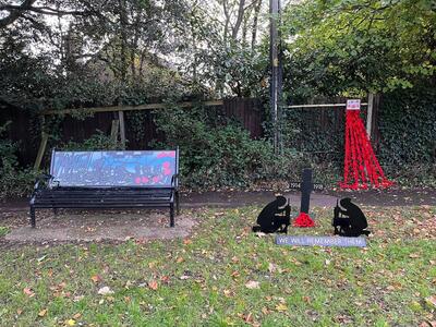 Remembrance Poppies October 2025