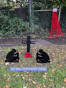 Remembrance Poppies October 2025