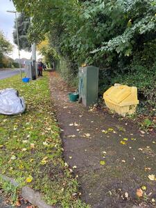 Verge Clearing October 2025