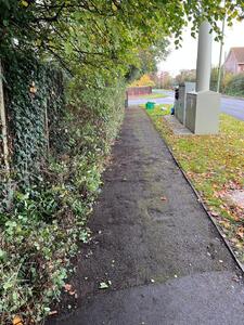 Verge Clearing  October 2025