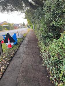 Verge Clearing October 2025